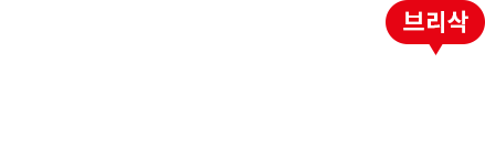 BRISAK 브리삭